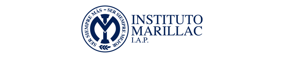 LOGO_IM